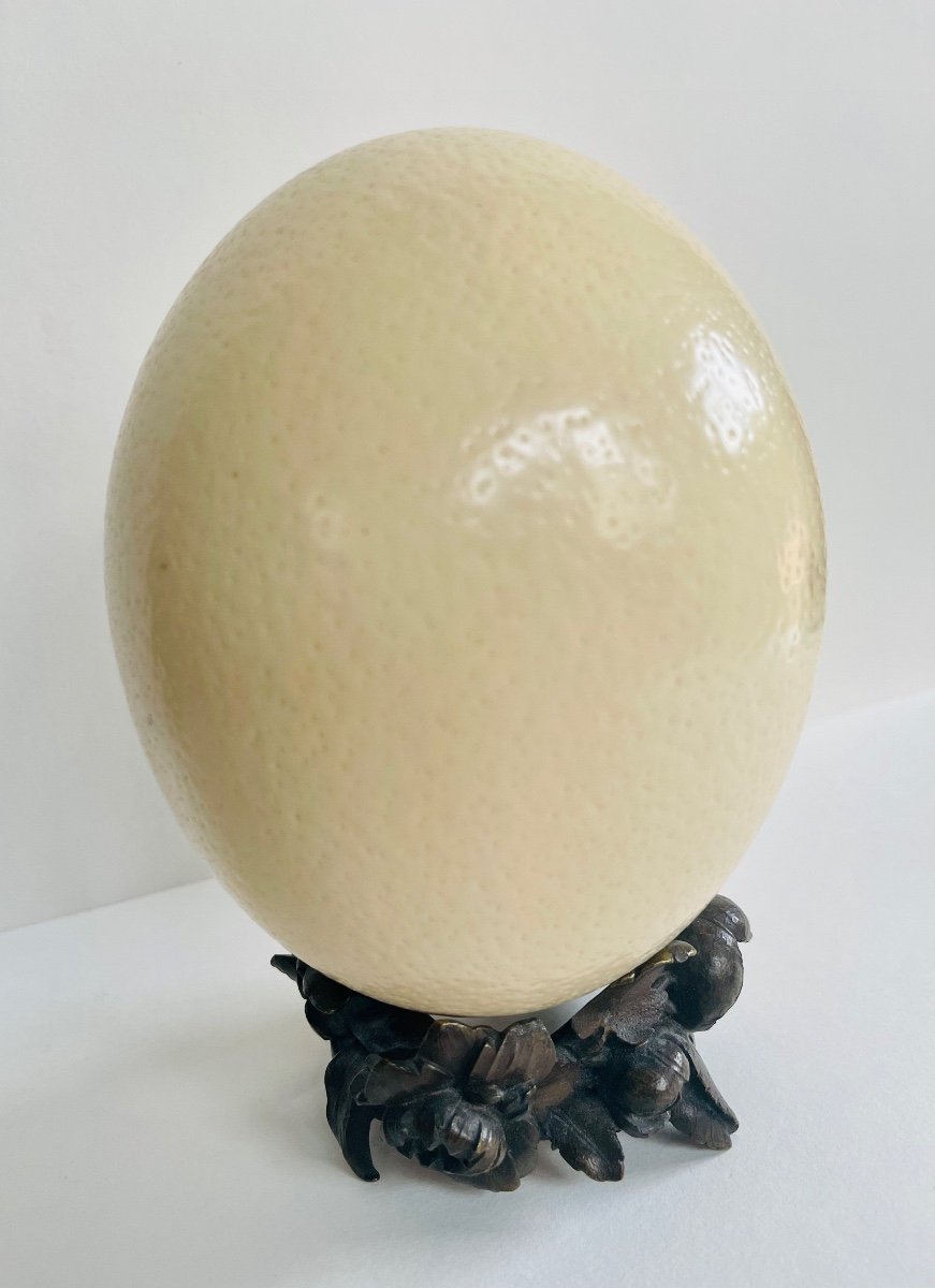 Ostrich Egg-photo-4